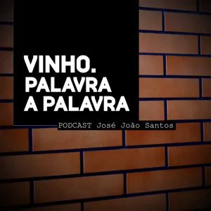 Entrevista André Barbosa (enólogo Poças Júnior)