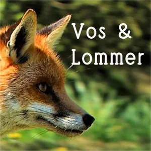 5# De bosuil en de mol