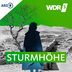 Sturmhöhe - Talk