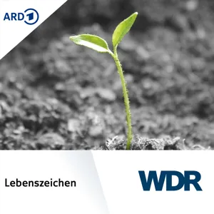 Waldliebe - Waldkrise: Drei Menschen und ihr Wald