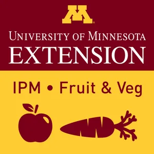 What's Killing My Kale Season 3 Episode 13: Growing Kiwiberries in Minnesota