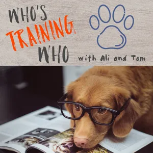 Who's Training Who Episode 7 - Jessica Dolce - Compassion Fatigue