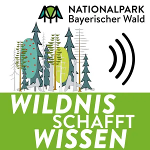 Wildnis schafft Wissen: Was macht die Nationalparkzentren so speziell?