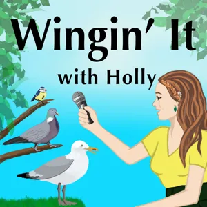 Ep18 - Where have all the birds gone?