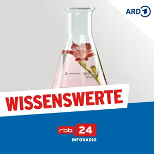 PIK-Direktor Edenhofer zweifelt an EU-Klimaziel für 2040