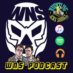 CM Punk/Vince McMahon Podcast Review