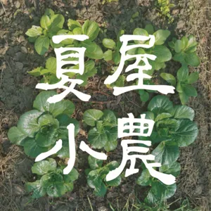 S1E5 吃貨天堂在園裡，Discovery帶你爽退休 ＃二八水菓園 施世己