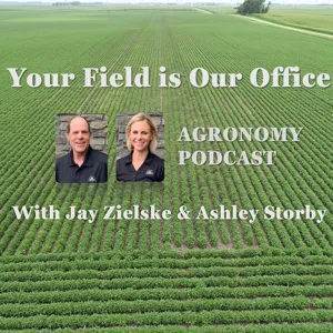 Field Observations, Disease and Extended Diapause with Allie Wise