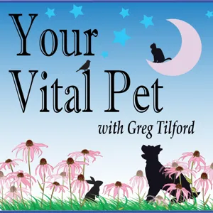 Aromatherapy and Essential Oils for your Pet